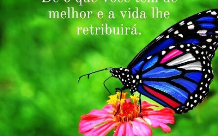 Cópia de mensagem de reflexão  - 1