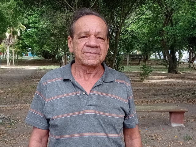 Temendo acidentes, morador pede poda de árvores no Conjunto Milton Gomes