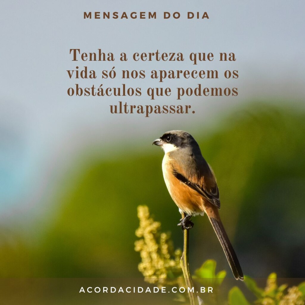 Mensagem do dia Mensagem do dia