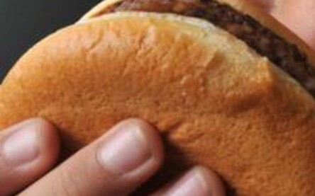 Alimentação industrializada