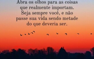 Mensagem do dia 