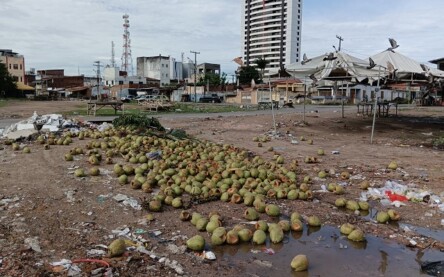 Terreno baldio na Estação Nova