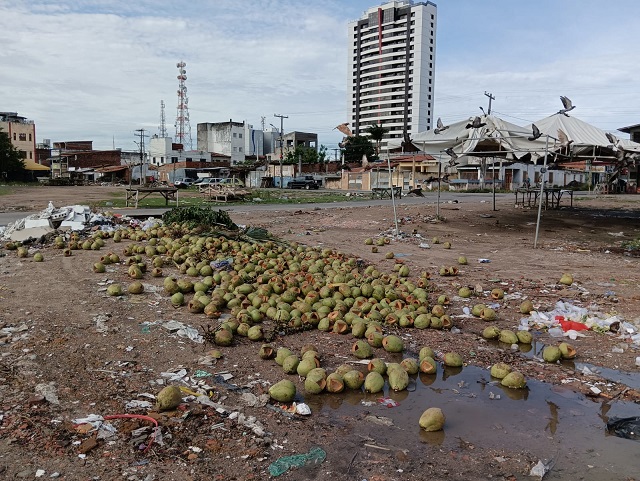 Terreno baldio na Estação Nova