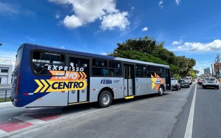 Foto: Andrews Pedra Branca
