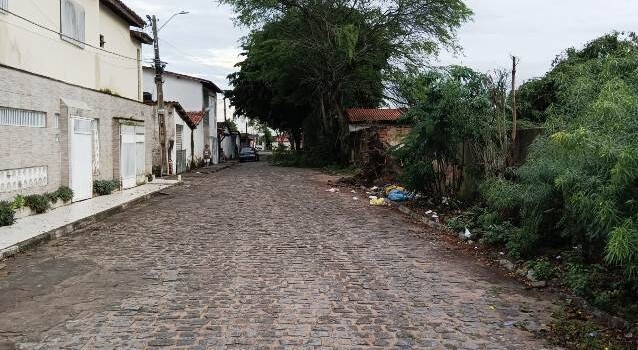 Queda de árvore nos fundos do Colégio Estadual Eraldo Tinoco, no Jomafa, em Feira de Santana (Foto: Paulo José/ Acorda Cidade)