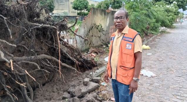 Queda de árvore nos fundos do Colégio Estadual Eraldo Tinoco, no Jomafa, em Feira de Santana (Foto: Paulo José/ Acorda Cidade)