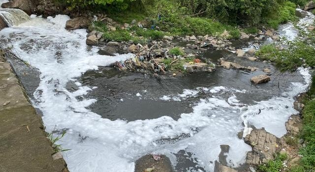 Educação ambiental nas escolas é debatida em seminário sobre a requalificação da Bacia do Jacuípe