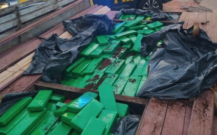 quase meia tonelada de maconha apreendida