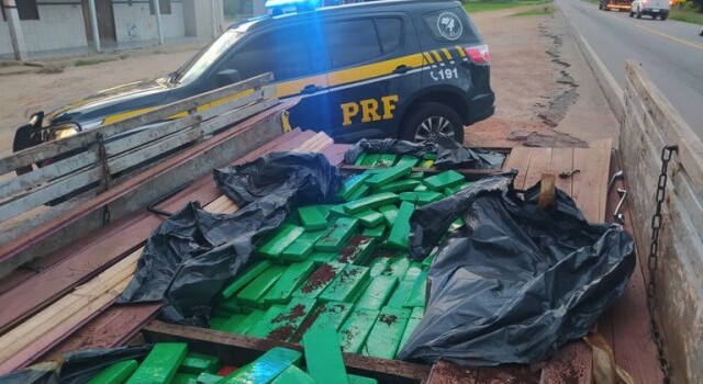 quase meia tonelada de maconha apreendida