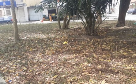 Foto: Enviada pelo WhatsApp Foto: Enviada pelo WhatsApp