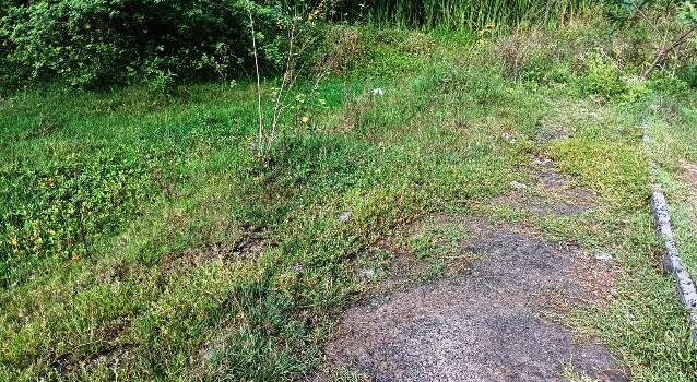 Construída há quase 6 anos, pista de Cooper do Parque Lagoa do Subaé abandonada se transformou em matagal (Foto: Paulo José/ Acorda Cidade)
