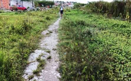 Construída há quase 6 anos, pista de Cooper do Parque Lagoa do Subaé abandonada se transformou em matagal (Foto: Paulo José/ Acorda Cidade)