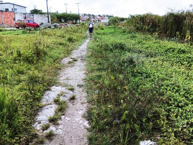 Construída há quase 6 anos, pista de Cooper do Parque Lagoa do Subaé abandonada se transformou em matagal (Foto: Paulo José/ Acorda Cidade)