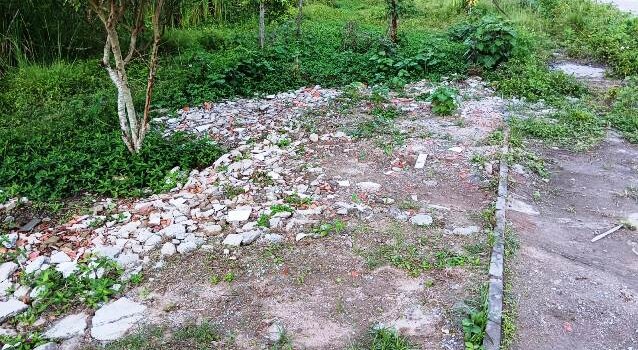 Construída há quase 6 anos, pista de Cooper do Parque Lagoa do Subaé abandonada se transformou em matagal (Foto: Paulo José/ Acorda Cidade)