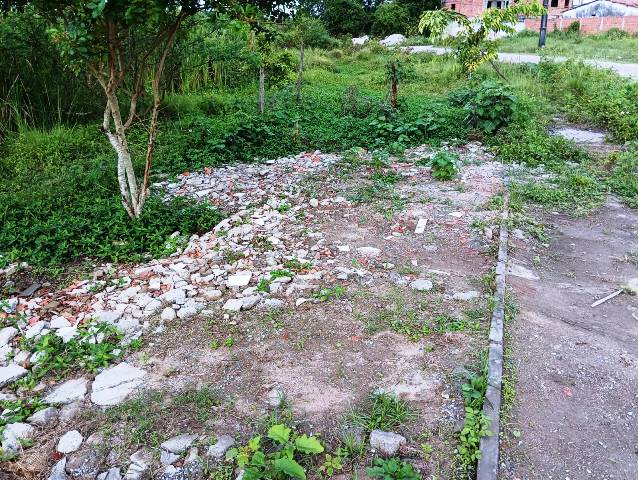 Construída há quase 6 anos, pista de Cooper do Parque Lagoa do Subaé abandonada se transformou em matagal (Foto: Paulo José/ Acorda Cidade)