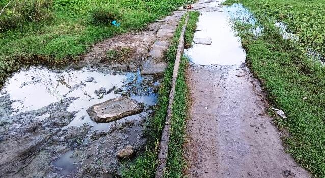 Construída há quase 6 anos, pista de Cooper do Parque Lagoa do Subaé abandonada se transformou em matagal (Foto: Paulo José/ Acorda Cidade)