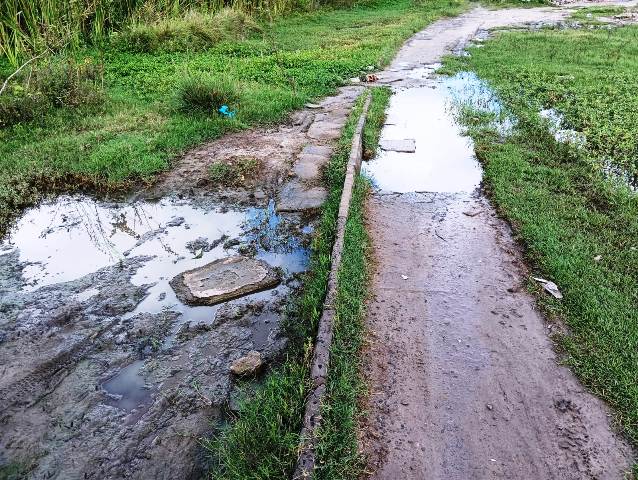 Construída há quase 6 anos, pista de Cooper do Parque Lagoa do Subaé abandonada se transformou em matagal (Foto: Paulo José/ Acorda Cidade)