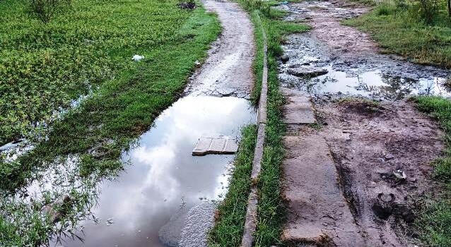 Construída há quase 6 anos, pista de Cooper do Parque Lagoa do Subaé abandonada se transformou em matagal (Foto: Paulo José/ Acorda Cidade)