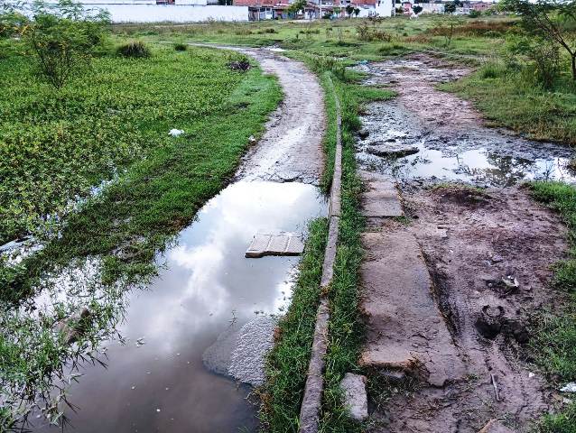 Construída há quase 6 anos, pista de Cooper do Parque Lagoa do Subaé abandonada se transformou em matagal (Foto: Paulo José/ Acorda Cidade)