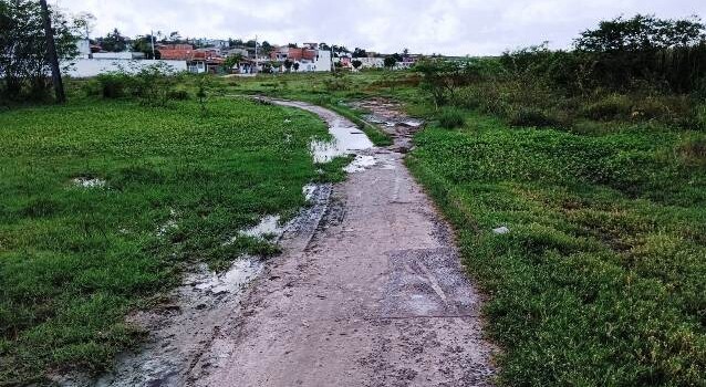 Construída há quase 6 anos, pista de Cooper do Parque Lagoa do Subaé abandonada se transformou em matagal (Foto: Paulo José/ Acorda Cidade)