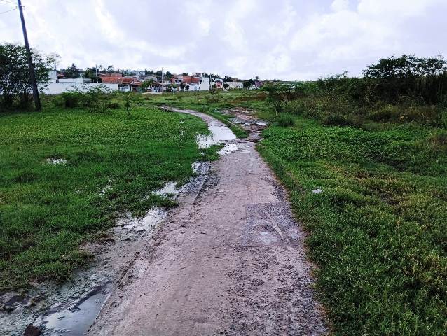 Construída há quase 6 anos, pista de Cooper do Parque Lagoa do Subaé abandonada se transformou em matagal (Foto: Paulo José/ Acorda Cidade)