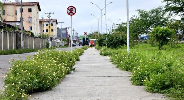 Buracos e mato tomam conta da Avenida Antônio Bernadino de Carvalho, no bairro Pedra do Descanso, na região do Vila Olímpia. (Foto: Ed Santos/Acorda Cidade)