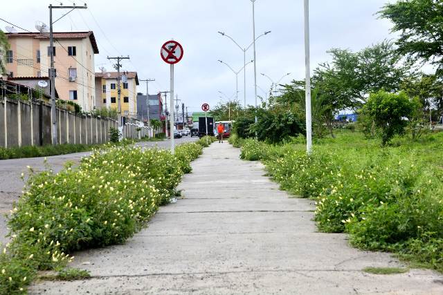 Buracos e mato tomam conta da Avenida Antônio Bernadino de Carvalho, no bairro Pedra do Descanso, na região do Vila Olímpia. (Foto: Ed Santos/Acorda Cidade)