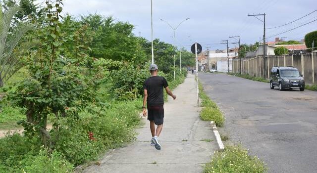 Buracos e mato tomam conta da Avenida Antônio Bernadino de Carvalho, no bairro Pedra do Descanso, na região do Vila Olímpia. (Foto: Ed Santos/Acorda Cidade)