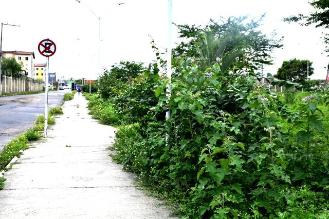 Buracos e mato tomam conta da Avenida Antônio Bernadino de Carvalho, no bairro Pedra do Descanso, na região do Vila Olímpia. (Foto: Ed Santos/Acorda Cidade)