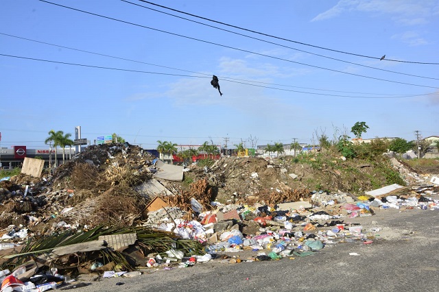 Descarte no bairro Santa Mônica