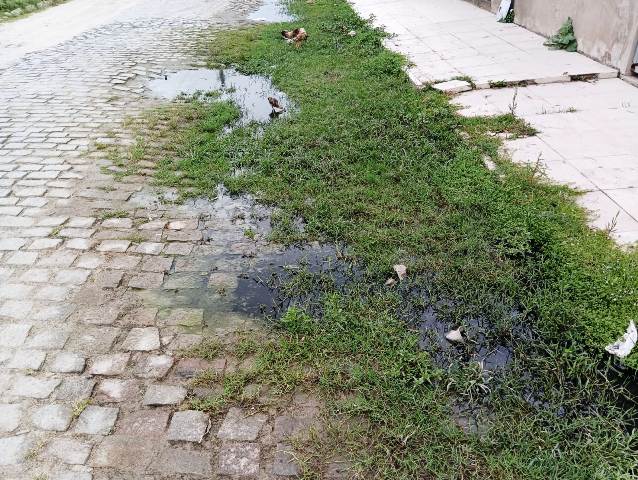 Moradores do Parque Brasil pedem manutenção do piso em ruas esburacadas (Foto: Paulo José/ Acorda Cidade)