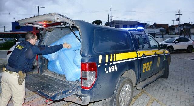 Dois homens foram presos, na tarde desta quinta-feira (15), com 67 kg de maconha em pacotes, no KM 415 da BR-116 norte, próximo ao distrito da Matinha, em Feira de Santana. (Foto: Ed Santos/ Acorda Cidade)
