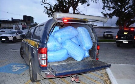 Dois homens foram presos, na tarde desta quinta-feira (15), com 67 kg de maconha em pacotes, no KM 415 da BR-116 norte, próximo ao distrito da Matinha, em Feira de Santana. (Foto: Ed Santos/ Acorda Cidade)