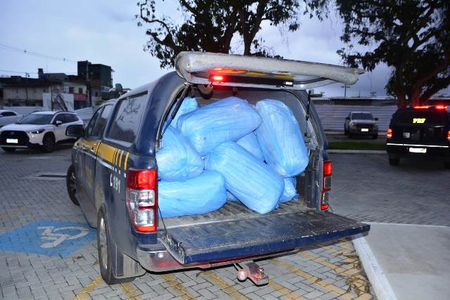 Dois homens foram presos, na tarde desta quinta-feira (15), com 67 kg de maconha em pacotes, no KM 415 da BR-116 norte, próximo ao distrito da Matinha, em Feira de Santana. (Foto: Ed Santos/ Acorda Cidade)