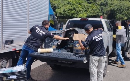 Foto: Divulgação/Polícia Civil
