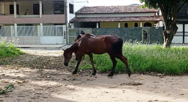 Roubo de fiação na Praça do Morada das Árvores_ Foto Ed Santos_Acorda Cidade