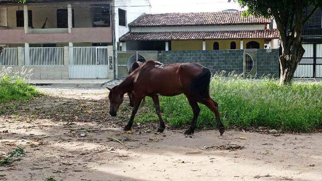 Roubo de fiação na Praça do Morada das Árvores_ Foto Ed Santos_Acorda Cidade