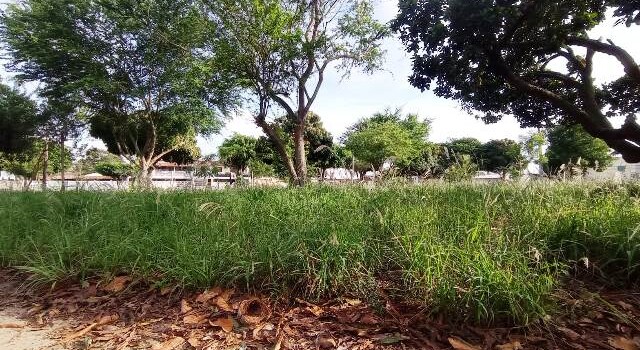 Roubo de fiação na Praça do Morada das Árvores_ Foto Ed Santos_Acorda Cidade