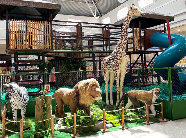 "Animais Selvagens” é a atração de férias do Boulevard Shopping