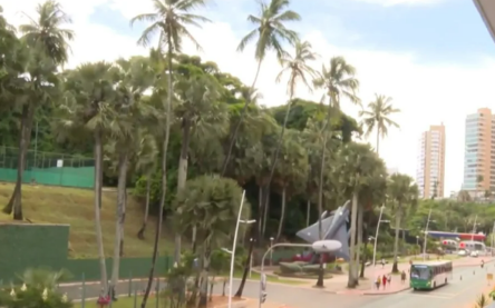 Foto: Reprodução/TV Bahia