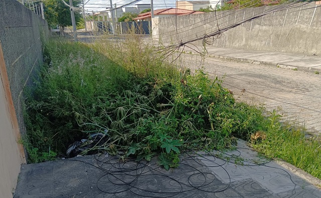 Fios na calçada, lixo e mato em rua do Muchila II preocupam moradores