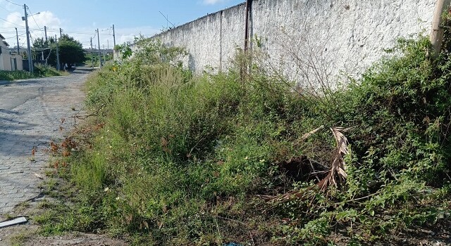 mato cobre calçadas da rua graúna - muchila ii - pauta livre - fios na calçada