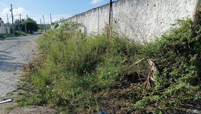 mato cobre calçadas da rua graúna - muchila ii - pauta livre - fios na calçada 