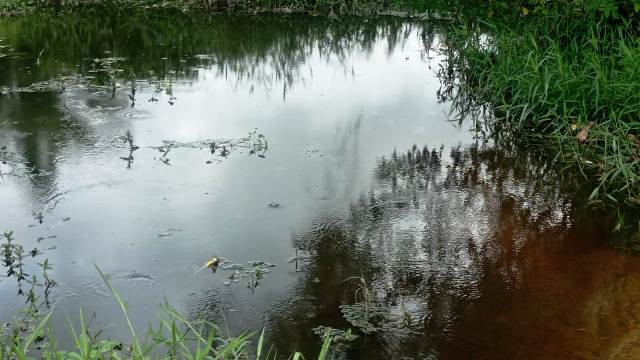 Projeto coleta dados sobre rios que cortam Feira de Santana (Foto: Ed Santos/Acorda Cidade)