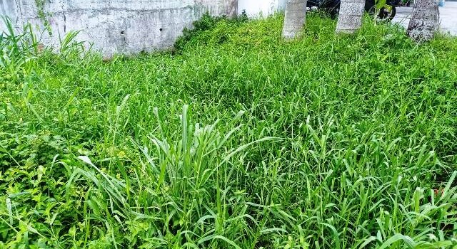 Projeto coleta dados sobre rios que cortam Feira de Santana (Foto: Ed Santos/Acorda Cidade)