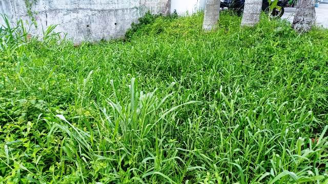 Projeto coleta dados sobre rios que cortam Feira de Santana (Foto: Ed Santos/Acorda Cidade)