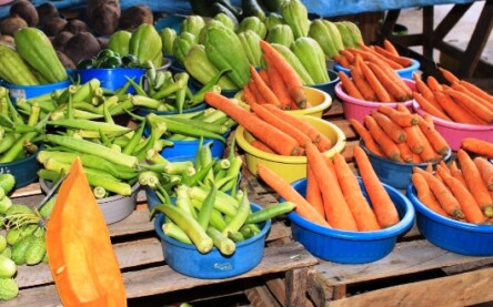 Alimentos_ Foto Reprodução Secom Alimentos_ Foto Reprodução Secom
