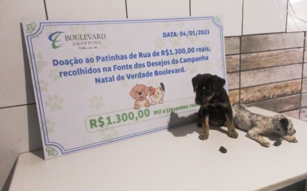 Doação Patinhas de Ruas_ Foto Divulgação Boulevard Shopping