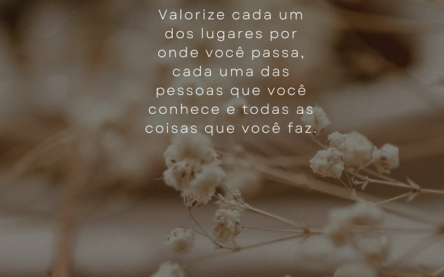 Mensagem do Dia