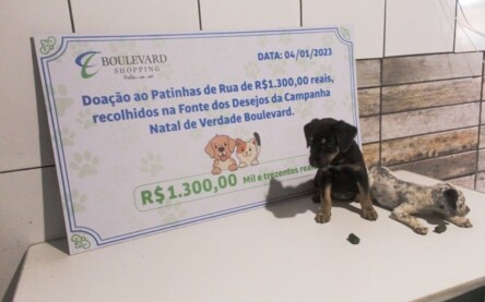 Boulevard Shopping arrecada doações em parceria com o Projeto Patinhas de Rua Boulevard Shopping arrecada doações em parceria com o Projeto Patinhas de Rua